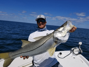 marco island florida big snook fishing charter with joesnook fishing charters and captain joe cassaro