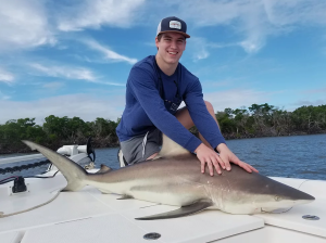 marco island shark fishing