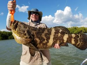 goliath grouper marco island fishing charter