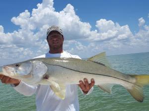 Big Snook Marco island fishing charter