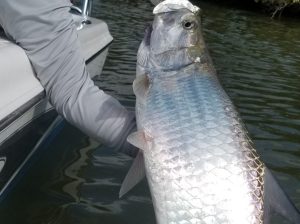 tarpon fishing <a href=